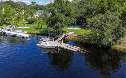 Haus in Trinity, Florida, Vereinigte Staaten 1
