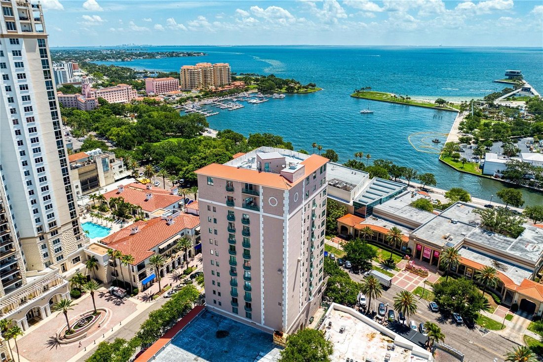 Condo in St. Petersburg, Florida, United States 3 - 18114196