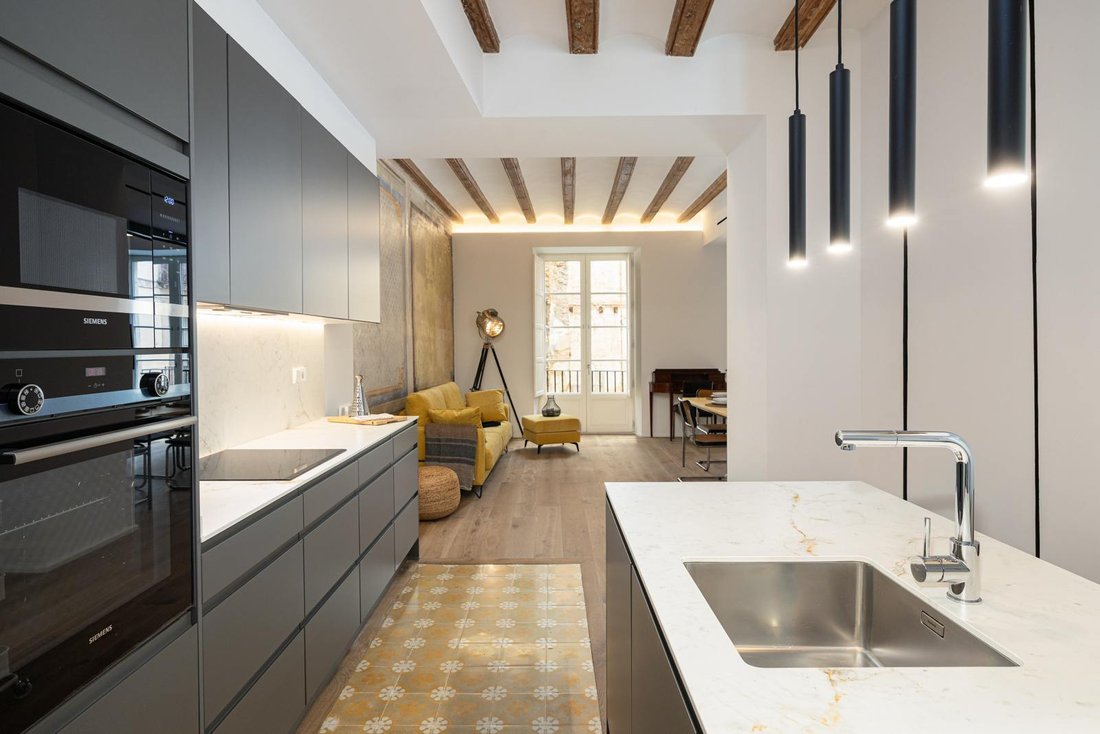 Apartment in Ciutat Vella, Barcelona, Spain 5 - 14280655