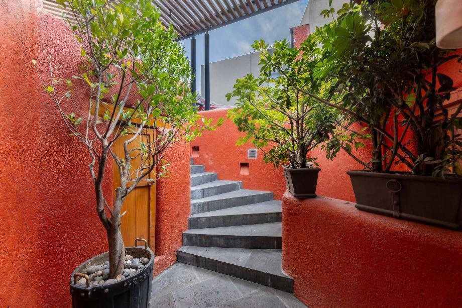 House in Mexico City, Mexico 4 - 16752785