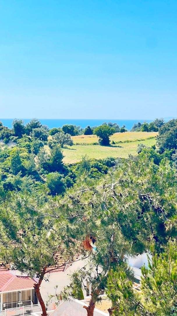 Estate in Aydın, Aydın, Turkey 3 - 18110934