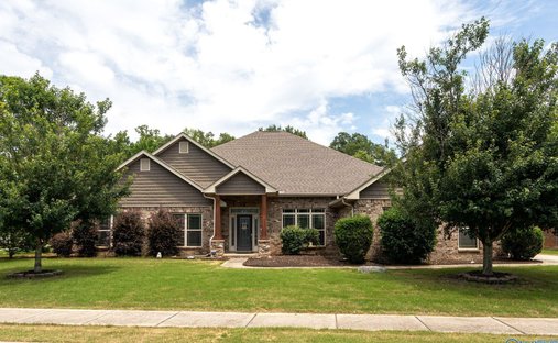 House in Madison, Alabama, United States 1