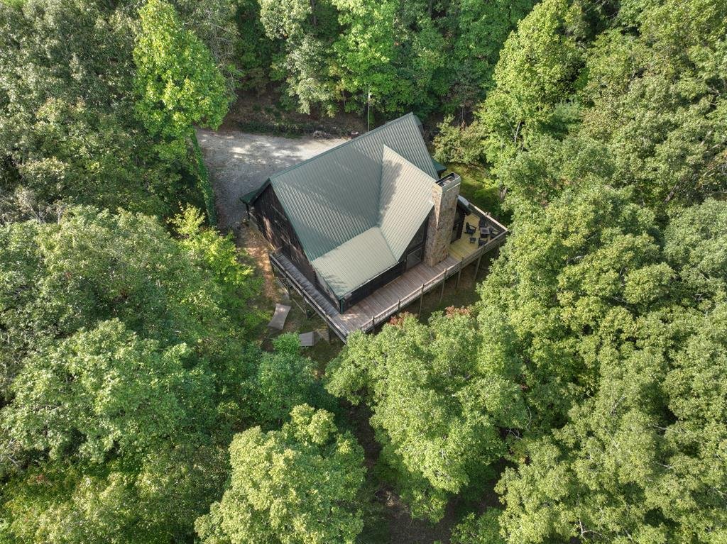 House in Mineral Bluff, Georgia, United States 2 - 18114624