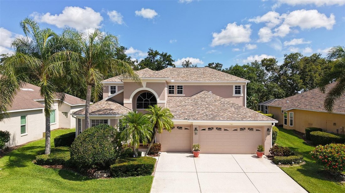 House in Sarasota, Florida, United States 3 - 18112513