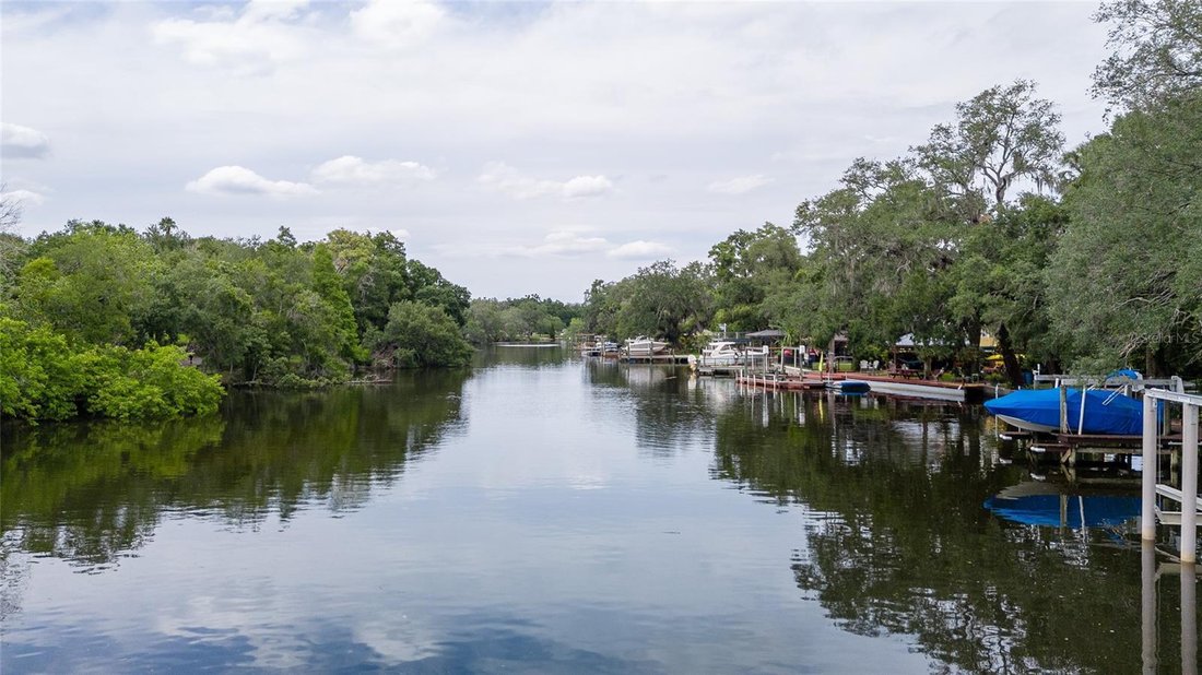 House in TAMPA, FL, United States 2 - 18112463