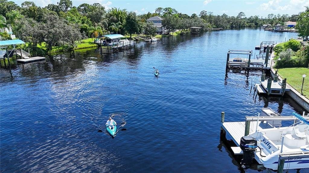 House in Trinity, Florida, United States 1 - 18112470