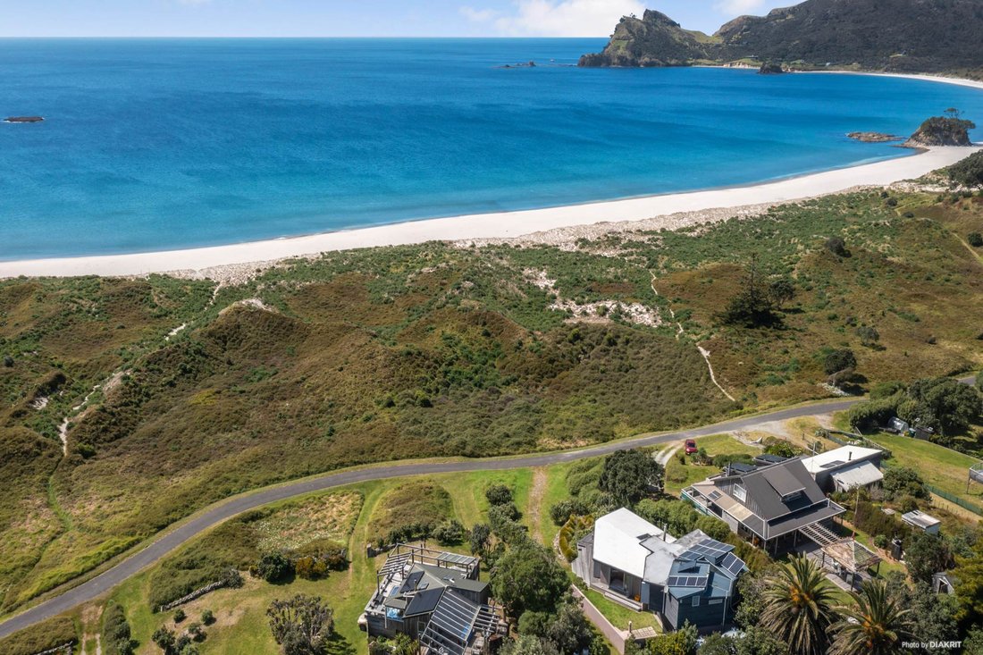House in Auckland, Auckland, New Zealand 2 - 15978469