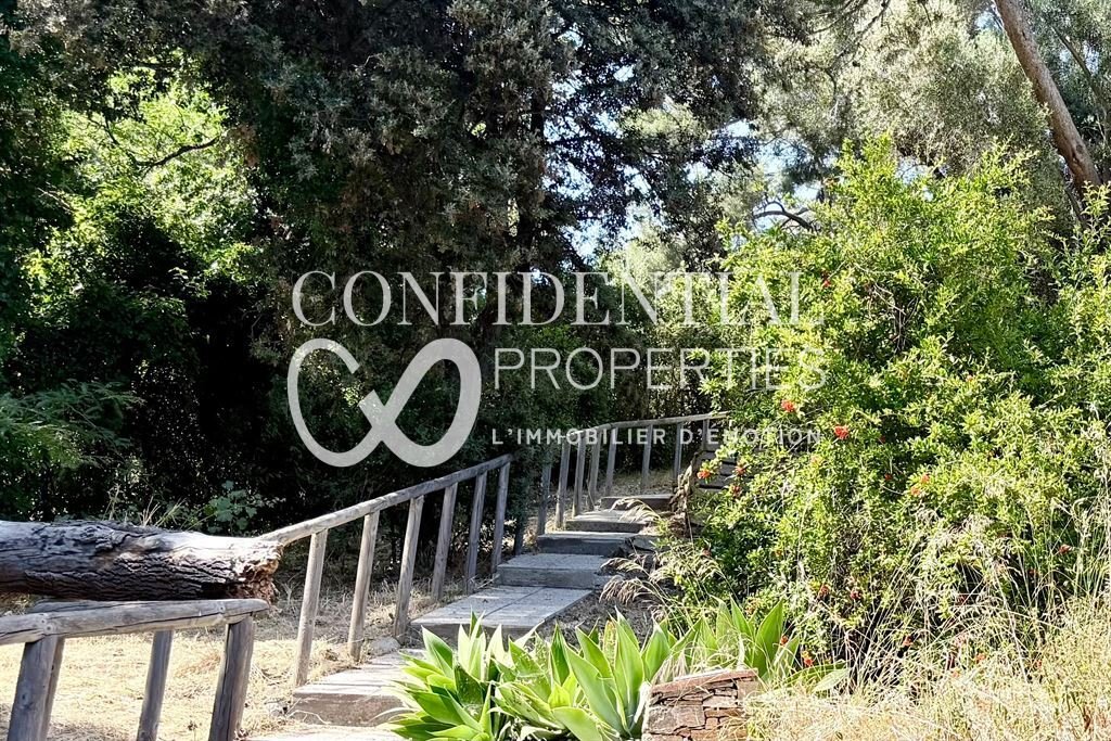 Estate in La Garde, Provence-Alpes-Côte d'Azur, France 5 - 18114666