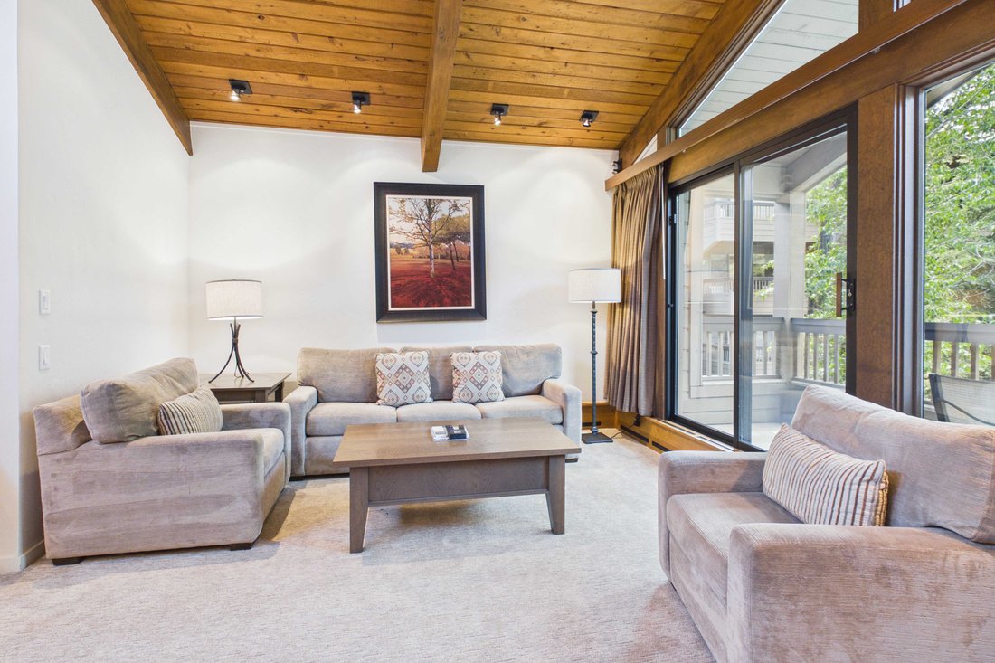 Condo in Aspen, Colorado, United States 3 - 16770789