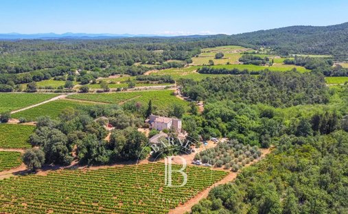 Country House in Besse-sur-Issole, Provence-Alpes-Côte d'Azur, France 1