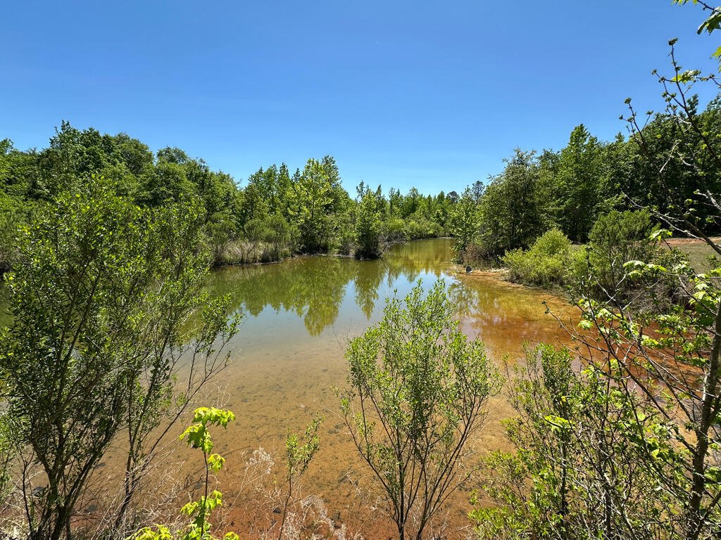 House in Keysville, Georgia, United States 4 - 18114868