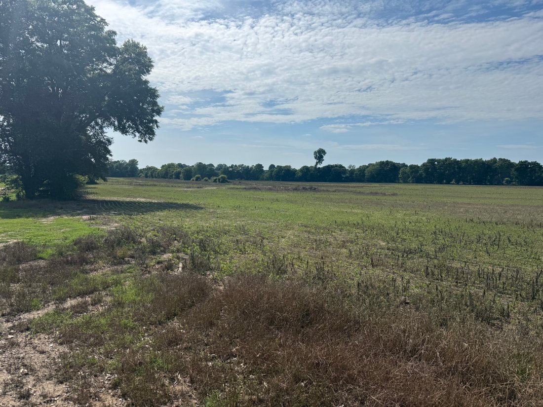 Land in Union City, Tennessee, United States 1 - 18112088