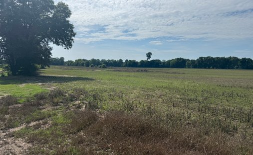 Land in Union City, Tennessee, United States 1