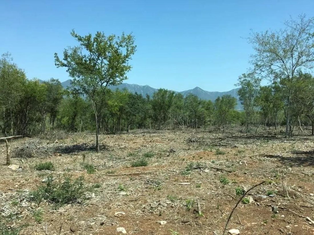 Land in Santiago, Nuevo Leon, Mexico 1 - 18111567