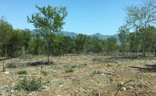 Land in Santiago, Nuevo León, Mexiko 1