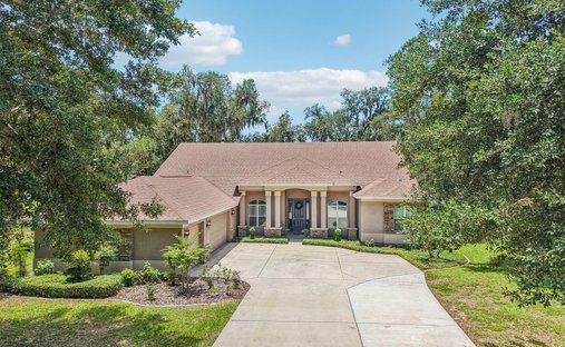 House in Riverview, Florida, United States 1