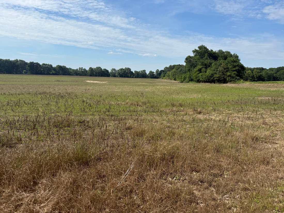 Land in Union City, Tennessee, United States 2 - 18112088