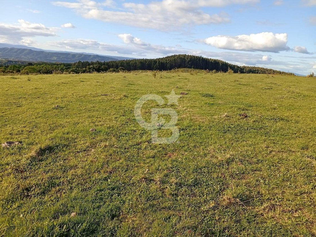 Land in San Pablo, Los Lagos, Chile 4 - 18112274