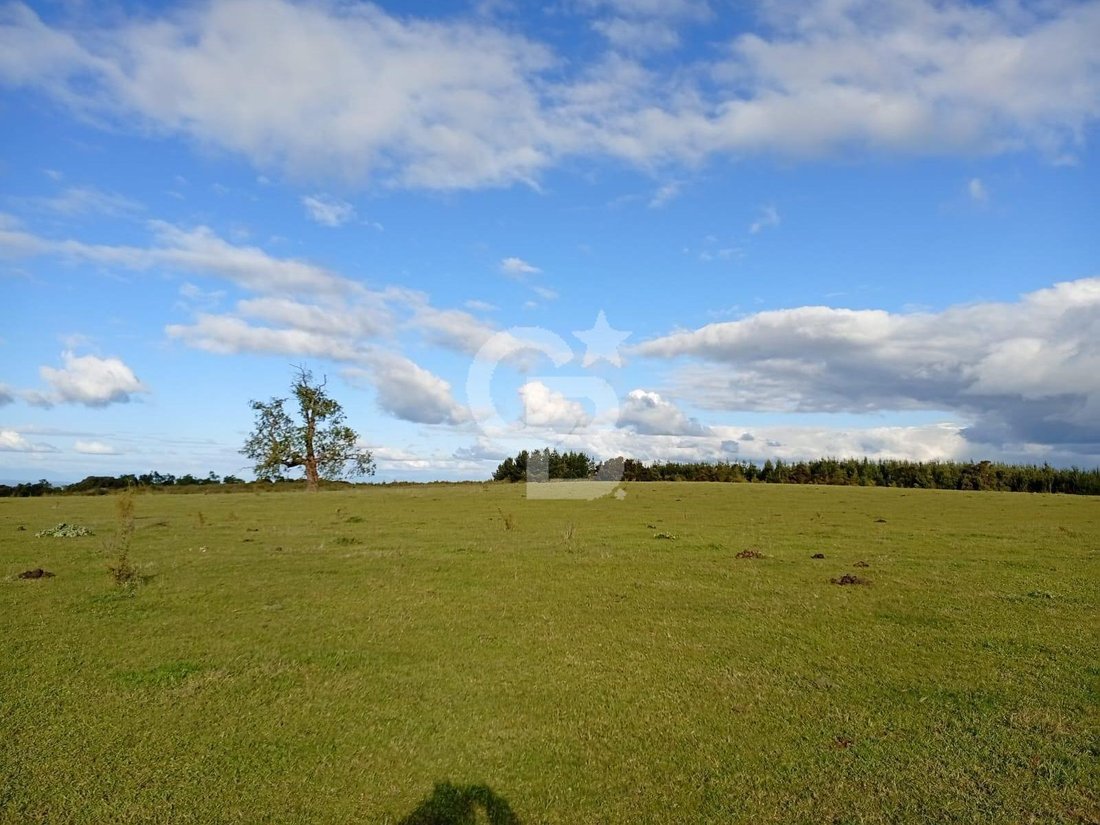 Land in San Pablo, Los Lagos, Chile 5 - 18112274