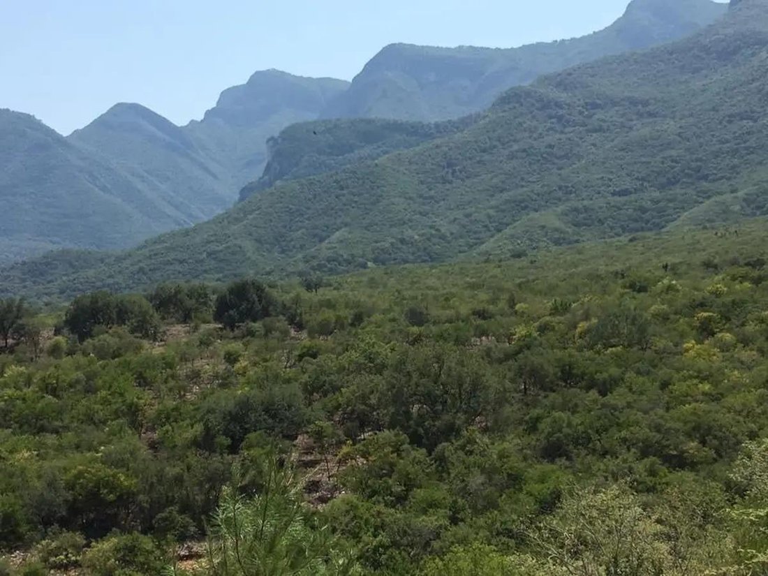 Land in Santiago, Nuevo Leon, Mexico 2 - 18111567