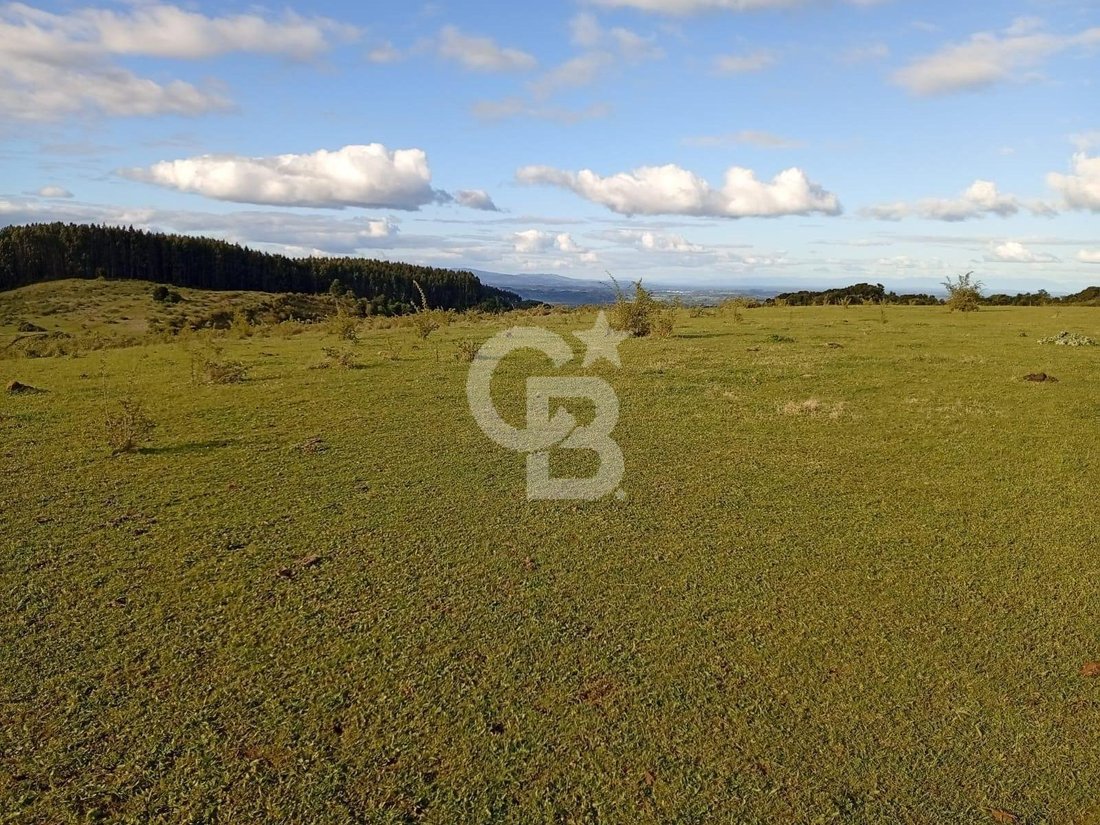 Land in San Pablo, Los Lagos, Chile 3 - 18112274