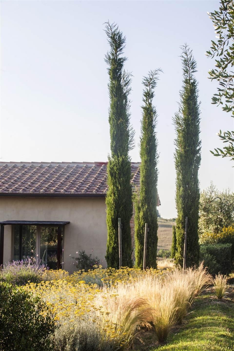 Country House in Magliano in Toscana, Tuscany, Italy 3 - 18113659