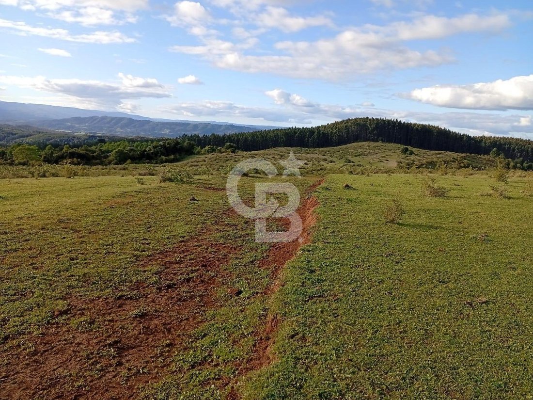 Land in San Pablo, Los Lagos, Chile 2 - 18112274