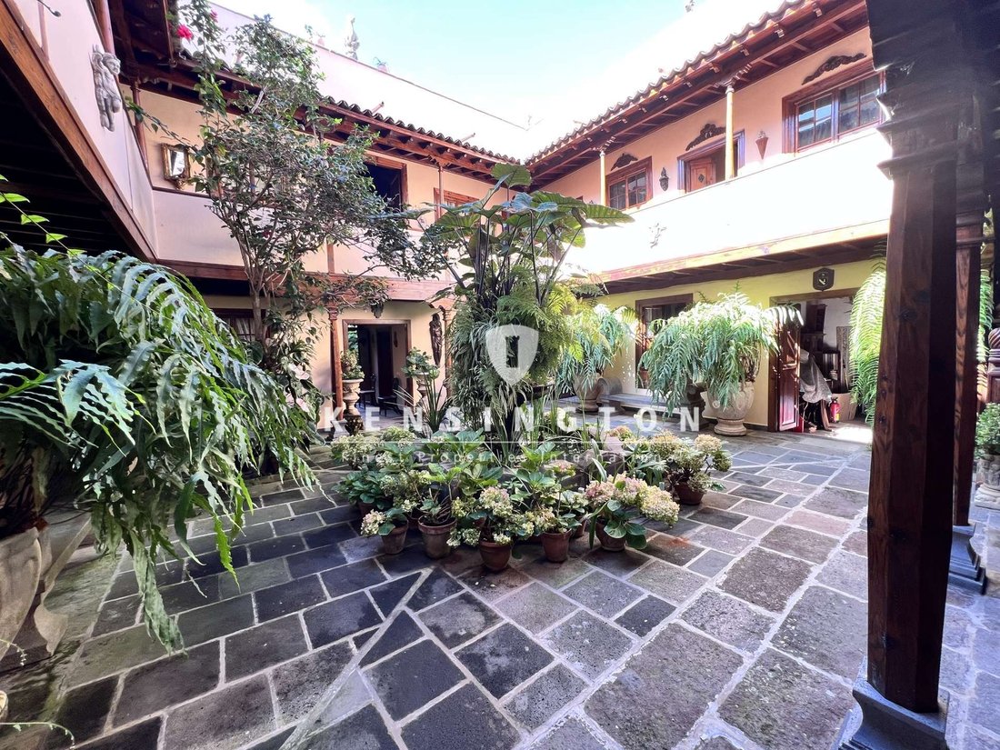 Villa in Icod de los Vinos, Canary Islands, Spain 3 - 18110301