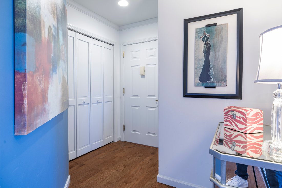 Condo in Rockville Centre, New York, United States 4 - 18110129