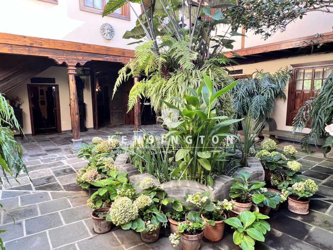 Villa in Icod de los Vinos, Canary Islands, Spain 5 - 18110301