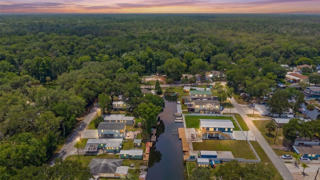 House in Spring Hill, Florida, United States 3 - 18112173