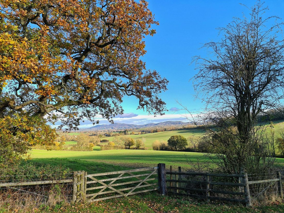 Martley, England 5 - 16977548