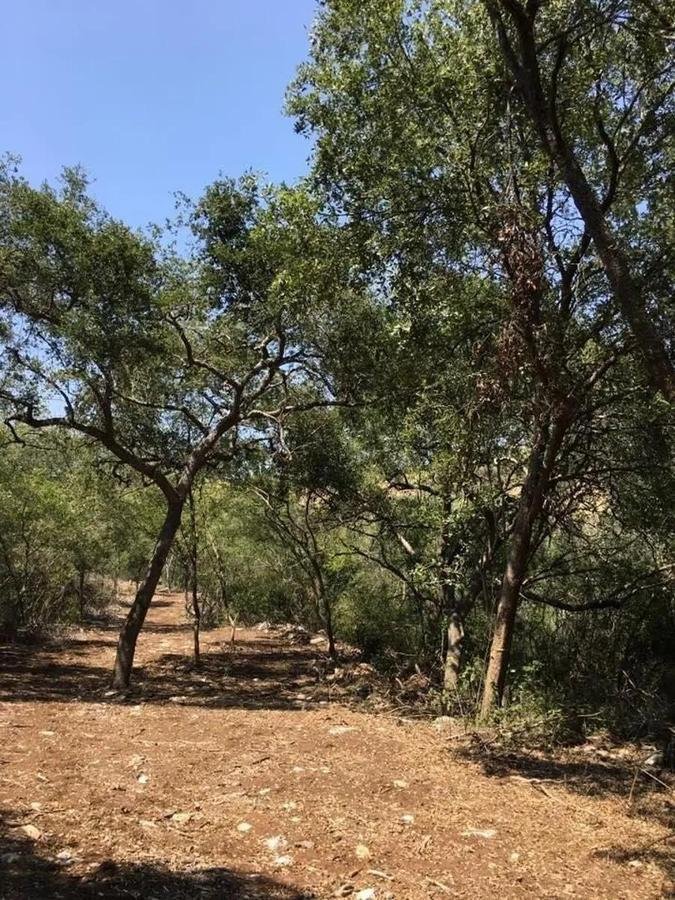 Land in Santiago, Nuevo Leon, Mexico 4 - 18111567