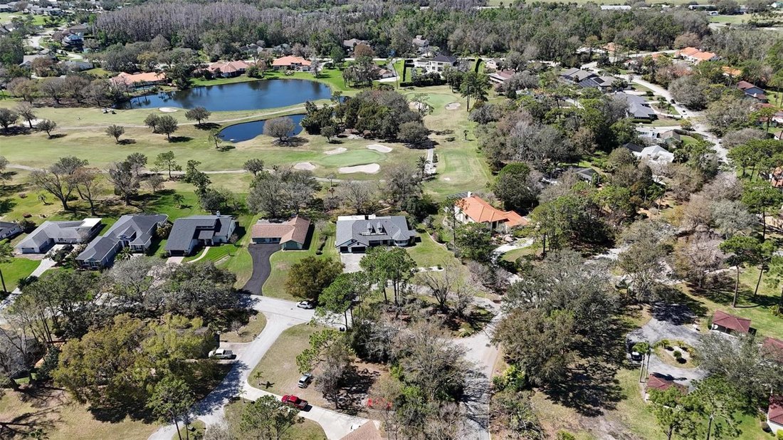 House in Zephyrhills, Florida, United States 3 - 18112457