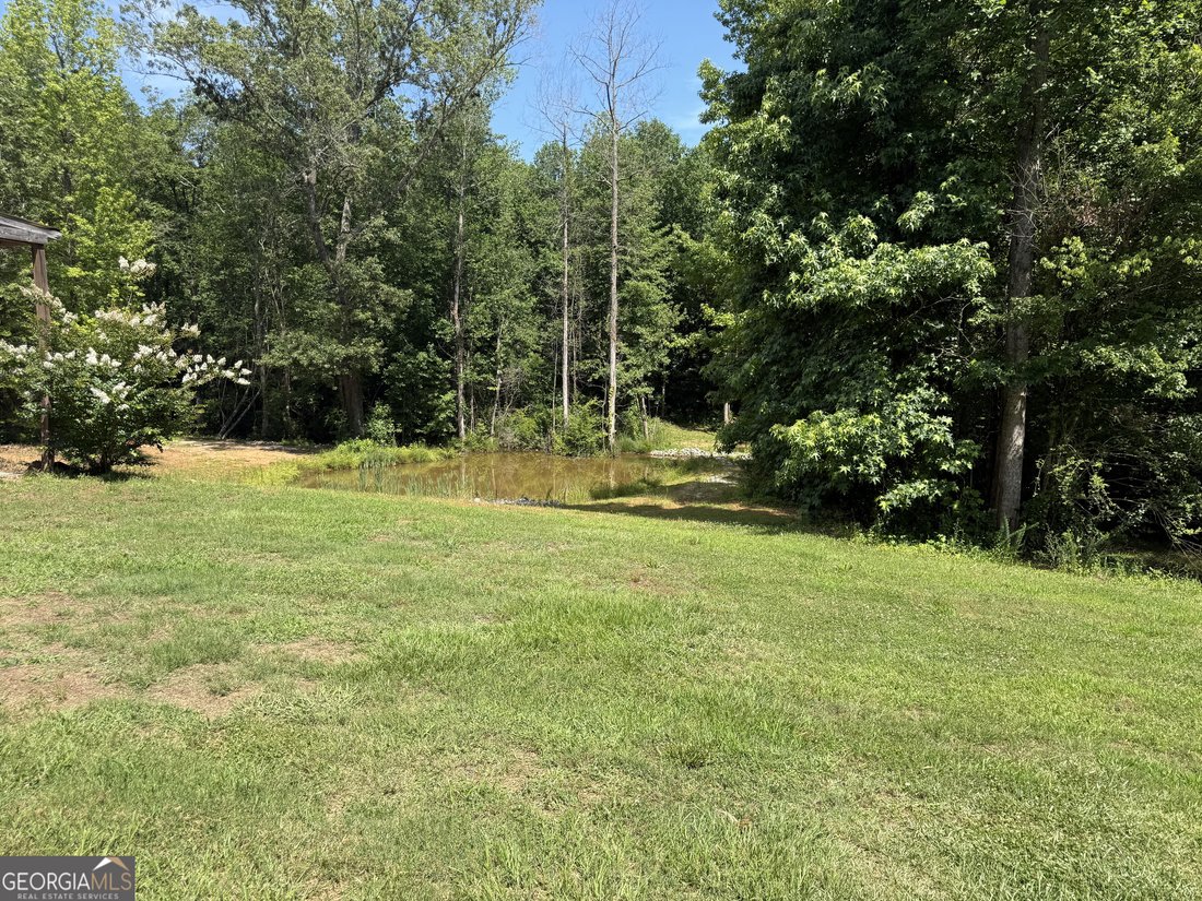 House in Milner, Georgia, United States 1 - 18116350