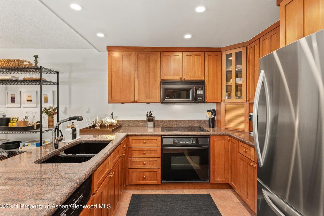 Condo in Aspen, Colorado, United States 4 - 18116026