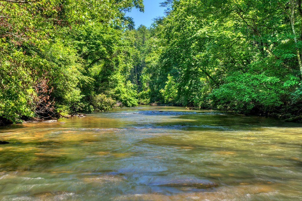 House in Ellijay, Georgia, United States 5 - 18116268