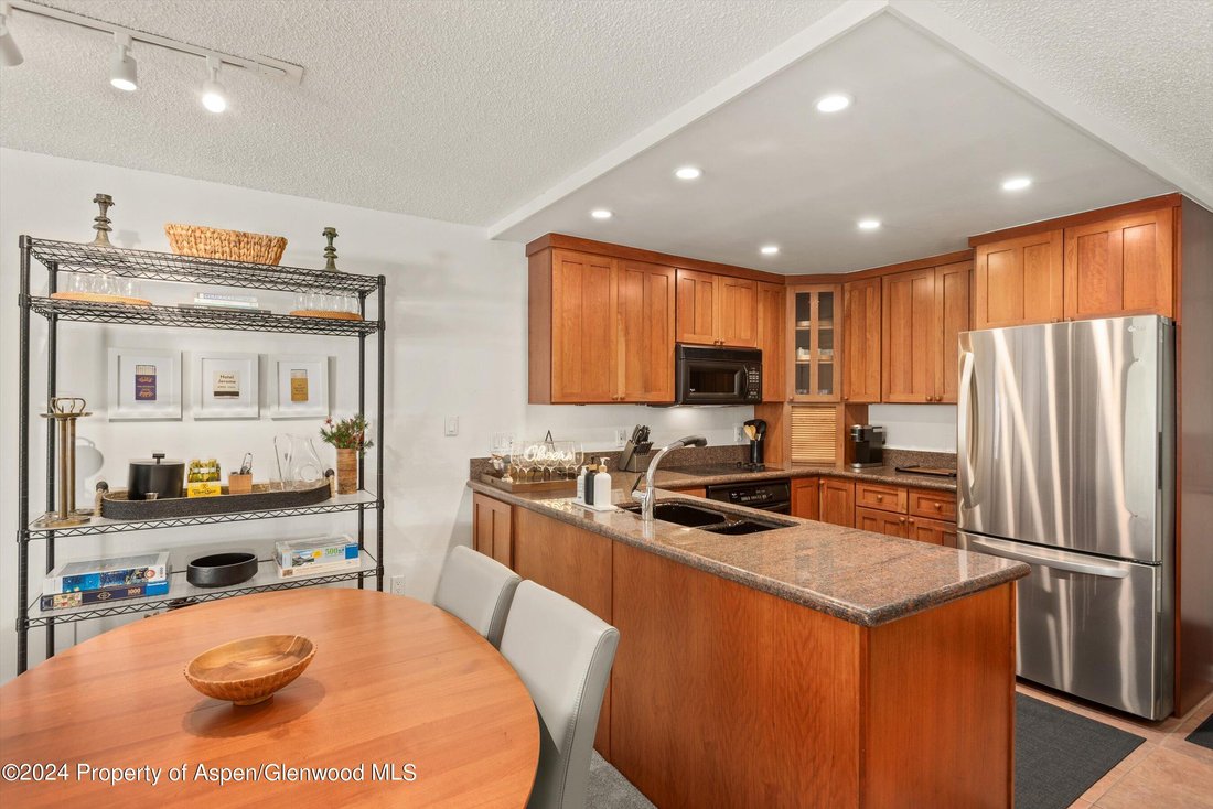 Condo in Aspen, Colorado, United States 5 - 18116026