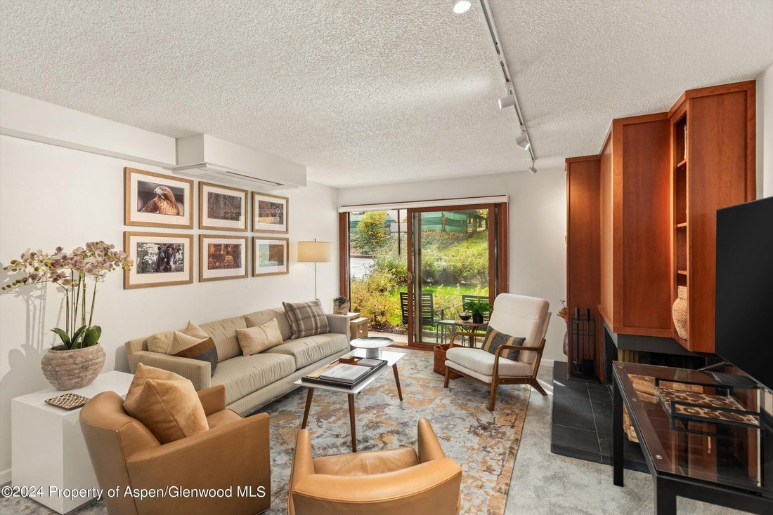 Condo in Aspen, Colorado, United States 1 - 18116026