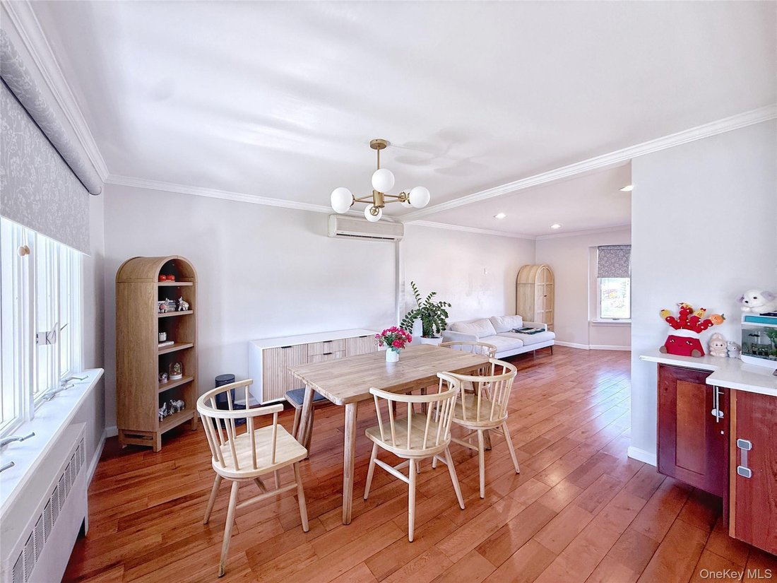 House in Syosset, New York, United States 4 - 18116296