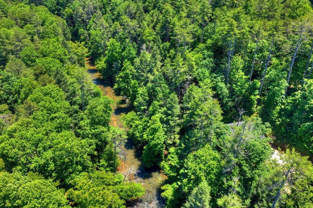 House in Ellijay, Georgia, United States 4 - 18116268