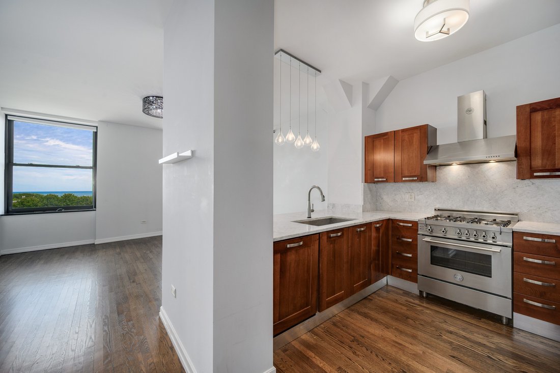 Condo in Chicago, Illinois, United States 2 - 18116488