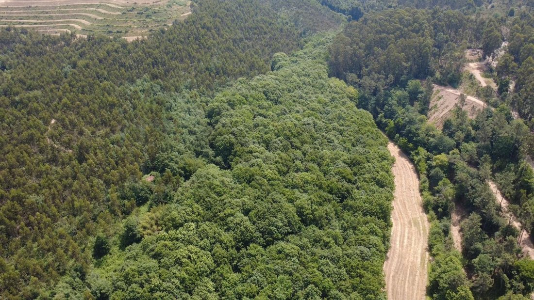 Land in Santa Maria da Feira, Aveiro District, Portugal 4 - 18070272