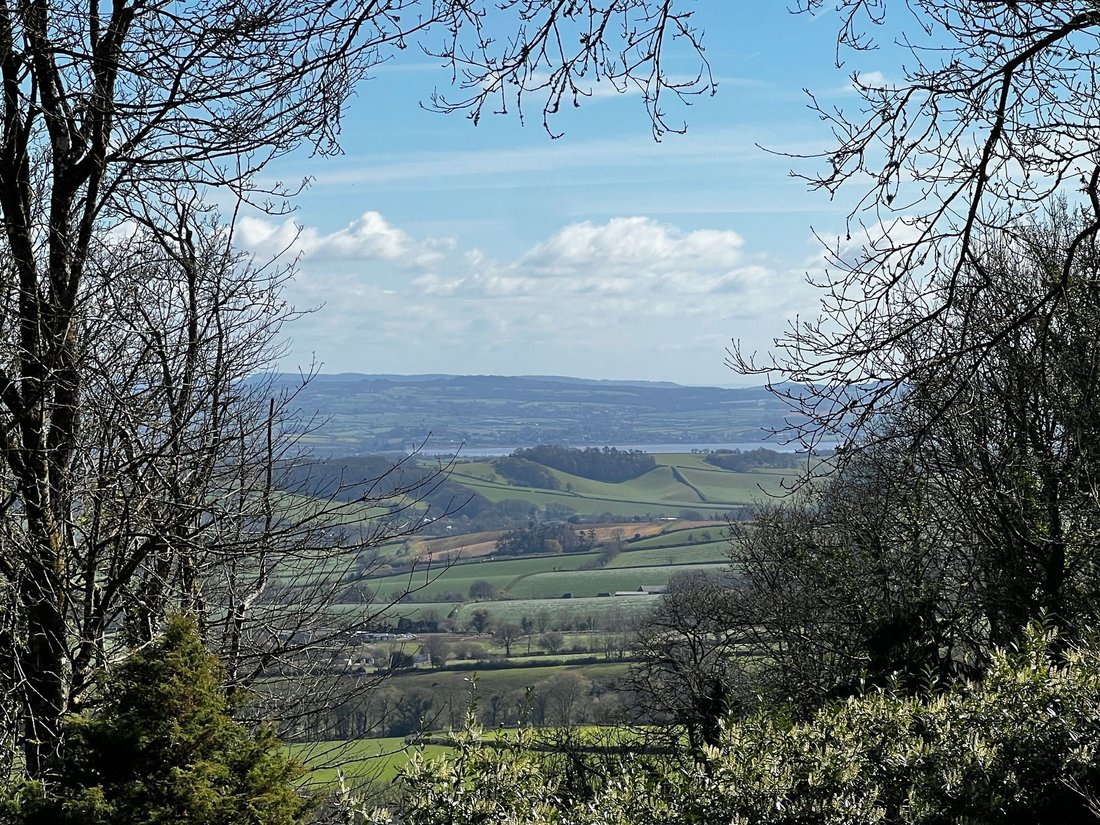 Bungalow in Devon, England 5 - 16475792
