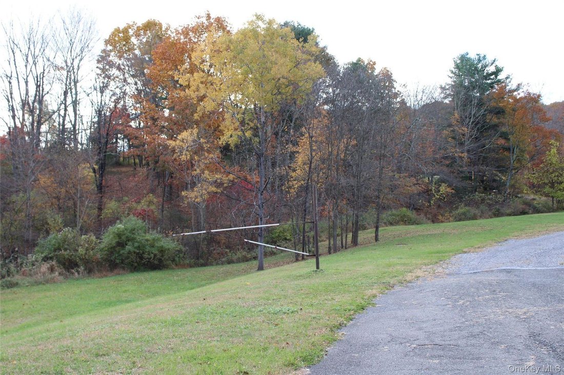 Rhinebeck, New York, United States 5 - 16801417