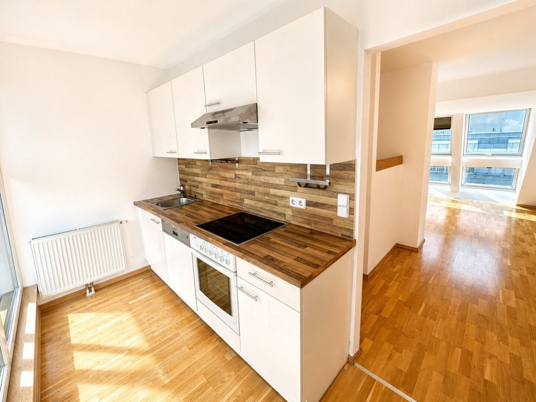 Penthouse in Vienna, Vienna, Austria 5 - 18117347