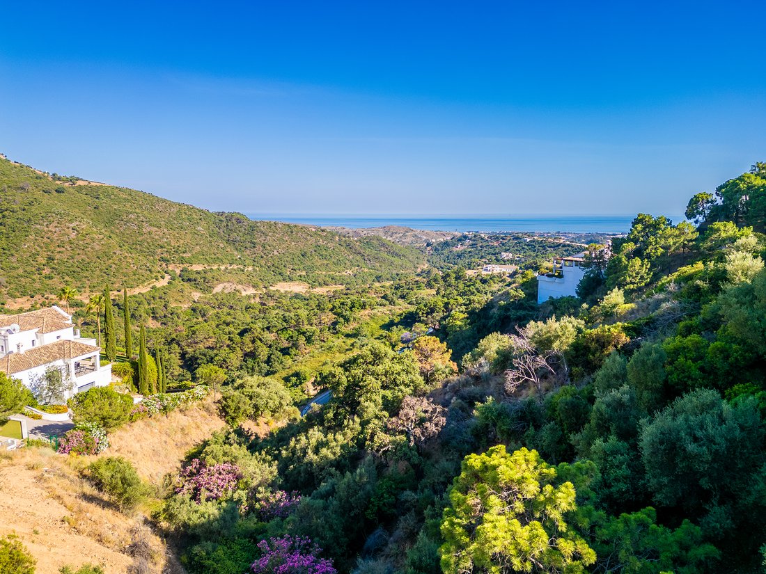 Land in La Campana, Andalusia, Spain 1 - 18117565