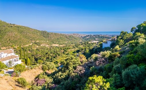 Land in La Campana, Andalusia, Spain 1