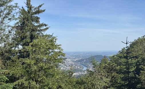 Elsbethen, Salzburg, Austria 1