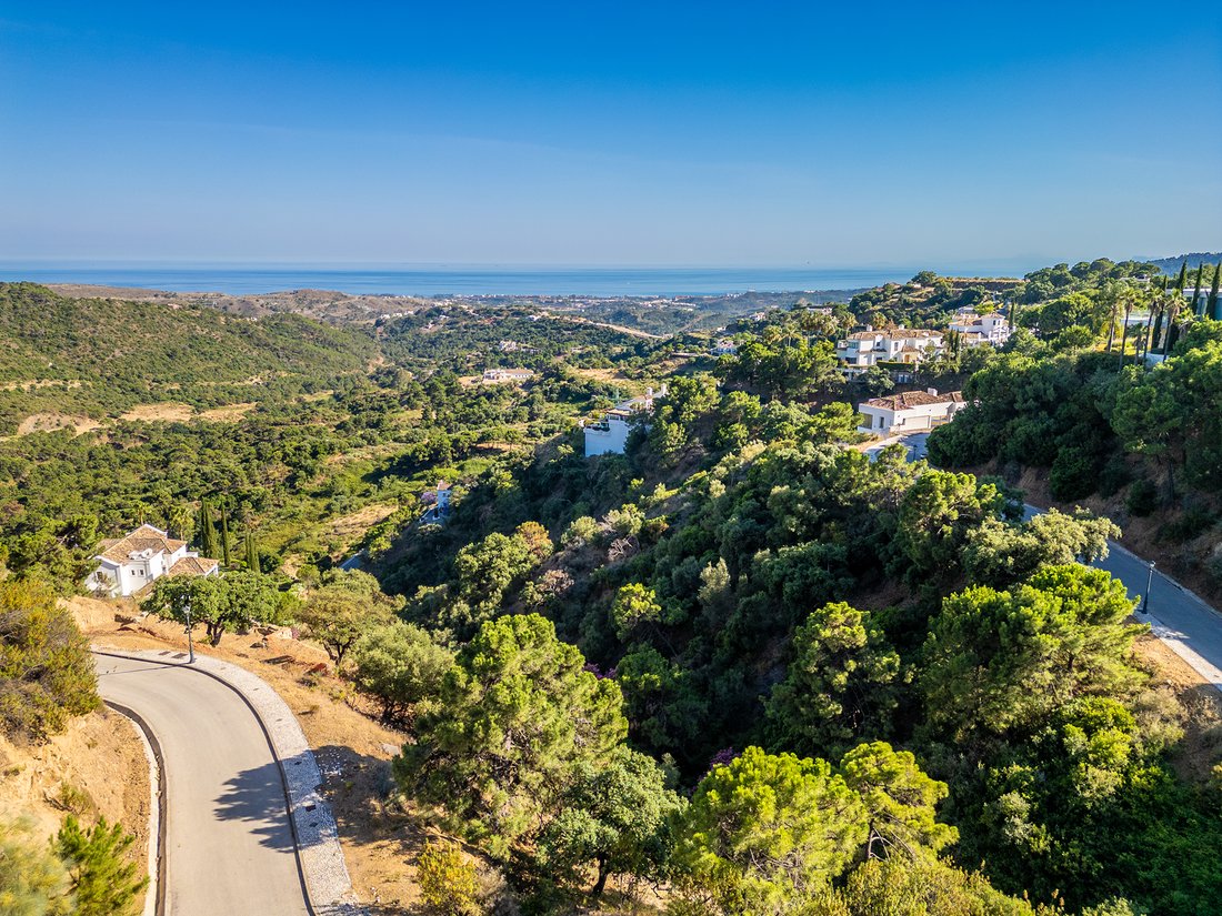 Land in La Campana, Andalusia, Spain 2 - 18117565